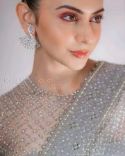 Charming Rakul Preet Singh in a Sheer Saree Pictures 03 Charming Rakul Preet Singh in a Sheer Saree Pictures 03