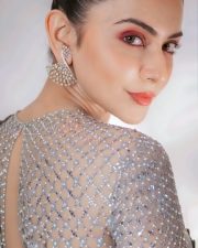 Charming Rakul Preet Singh in a Sheer Saree Pictures 04 Charming Rakul Preet Singh in a Sheer Saree Pictures 04