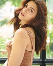 Chic Kriti Sanon in a Chocolate Corset Dress Photos 01 Chic Kriti Sanon in a Chocolate Corset Dress Photos 01