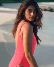 Chocolate Beauty Pooja Hegde in a Hot Pink Bikini Photos 02 Chocolate Beauty Pooja Hegde in a Hot Pink Bikini Photos 02