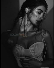 Cirkus Movie Heroine Pooja Hegde Spicy Photos