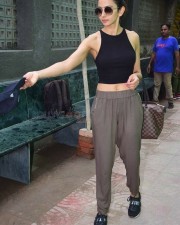Cute Actress Rakul Preet Singh Photos