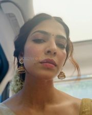 Cute Malavika Mohanan Face Selfie Photos 04