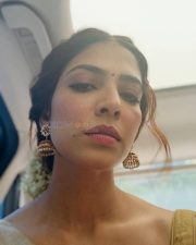 Cute Malavika Mohanan Face Selfie Photos 04 Cute Malavika Mohanan Face Selfie Photos 04