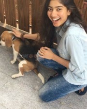 Sai Pallavi 9 Cute Sai Pallavi Photos Rare Unseen Photos