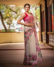 Cyanide Movie Heroine Priyamani Sexy Saree Photos