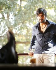 D Company Movie Pictures