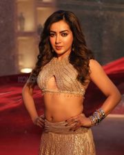 Dazzling Actress Catherine Tresa in a Gold Sequined Halter Lehenga Photos 04 Dazzling Actress Catherine Tresa in a Gold Sequined Halter Lehenga Photos 04