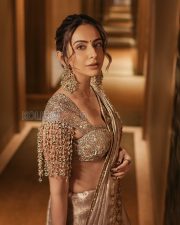 Dazzling Actress Rakul Preet Singh in a Gold Embroidered Saree Photos 01 Dazzling Actress Rakul Preet Singh in a Gold Embroidered Saree Photos 01