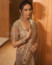 Dazzling Actress Rakul Preet Singh in a Gold Embroidered Saree Photos 03 Dazzling Actress Rakul Preet Singh in a Gold Embroidered Saree Photos 03