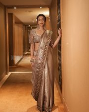 Dazzling Actress Rakul Preet Singh in a Gold Embroidered Saree Photos 04 Dazzling Actress Rakul Preet Singh in a Gold Embroidered Saree Photos 04