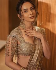 Dazzling Actress Rakul Preet Singh in a Gold Embroidered Saree Photos 05 Dazzling Actress Rakul Preet Singh in a Gold Embroidered Saree Photos 05