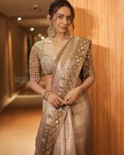 Dazzling Actress Rakul Preet Singh in a Gold Embroidered Saree Photos 06 Dazzling Actress Rakul Preet Singh in a Gold Embroidered Saree Photos 06
