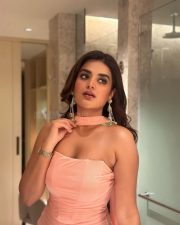 Dazzling Nidhhi Agerwal in an Off Shoulder Pink Bodycon Pictures 04