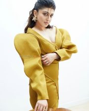 Dazzling Pranita Subhash in a Mustard Brown Dress with Puffed Sleeves Photos 01