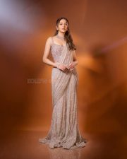 Dazzling Rakul Preet Singh Saree Photoshoot Pictures 01 Dazzling Rakul Preet Singh Saree Photoshoot Pictures 01