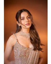 Dazzling Rakul Preet Singh Saree Photoshoot Pictures 06 Dazzling Rakul Preet Singh Saree Photoshoot Pictures 06