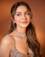 Dazzling Rakul Preet Singh Saree Photoshoot Pictures 08 Dazzling Rakul Preet Singh Saree Photoshoot Pictures 08