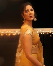Diwali Beauty Katrina Kaif in a Yellow Saree Picture 01