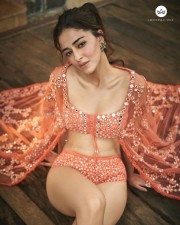 Dream Girl 2 Actress Ananya Panday Pictures 03