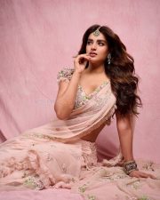 Dream Heroine Nidhhi Agerwal in a Soft Pink Saree Photos 01
