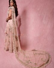 Dream Heroine Nidhhi Agerwal in a Soft Pink Saree Photos 02