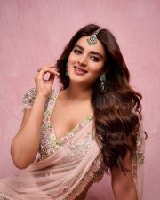 Dream Heroine Nidhhi Agerwal in a Soft Pink Saree Photos 03