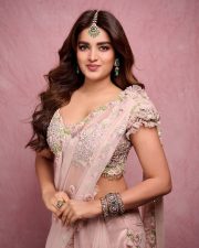 Dream Heroine Nidhhi Agerwal in a Soft Pink Saree Photos 04