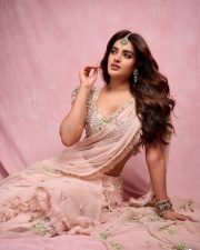 Dream Heroine Nidhhi Agerwal in a Soft Pink Saree Photos 05