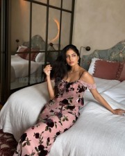 Dream Queen Malavika Mohanan in a Vienna Hotel Photos 03