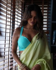 Dusky Beauty Esha Gupta in a Light Green Saree with Light Blue Blouse Photos 01