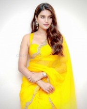 Eeswaran Movie Actress Nidhhi Agerwal Photos