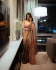 Elegant Aishwarya Rajesh in a Traditional Silk Saree Pictures 02