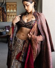 Elegant Janhvi Kapoor in a Beautiful Resham Saree with a Backless Full Sleeve Blouse Photos 07