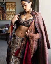 Elegant Janhvi Kapoor in a Beautiful Resham Saree with a Backless Full Sleeve Blouse Photos 07 Elegant Janhvi Kapoor in a Beautiful Resham Saree with a Backless Full Sleeve Blouse Photos 07