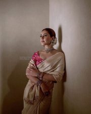 Elegant Raashi Khanna in a Gold Saree with Red Blouse Photos 04