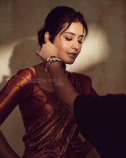 Elegant Raashi Khanna in a Rust Red Banarasi Silk Saree Photoshoot Pictures 06