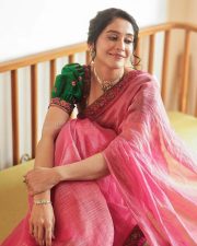 Elegant Regina Cassandra at Mookuthi Amman 2 Pooja Event in a Pink Chanderi Tissue Saree with a Green Blouse Photos 04