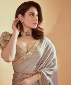 Elegant Tamannaah Bhatia Sexy Photos 04