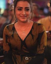 Elegant Trisha Krishnan Photo 01