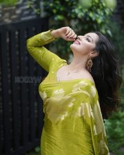 Enchanting Actress Malavika Menon in a Olive Gold Silk Saree Photos 06