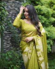 Enchanting Actress Malavika Menon in a Olive Gold Silk Saree Photos 07