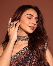 Enchanting Rakul Preet Singh in a Brown Multi Toned Saree with a Sleeveless Blouse Pictures 01 Enchanting Rakul Preet Singh in a Brown Multi Toned Saree with a Sleeveless Blouse Pictures 01