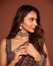 Enchanting Rakul Preet Singh in a Brown Multi Toned Saree with a Sleeveless Blouse Pictures 02