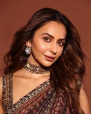 Enchanting Rakul Preet Singh in a Brown Multi Toned Saree with a Sleeveless Blouse Pictures 03
