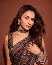 Enchanting Rakul Preet Singh in a Brown Multi Toned Saree with a Sleeveless Blouse Pictures 04