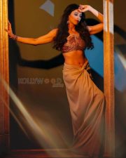 Enigmatic Actress Regina Cassandra in a Gold Metallic Bralette and Draped Skirt Photos 02 Enigmatic Actress Regina Cassandra in a Gold Metallic Bralette and Draped Skirt Photos 02