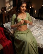 Erotic Raashi Khanna in an Olive Green Short Sleeved Blouse with a High Waisted Skirt Photos 02