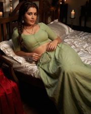 Erotic Raashi Khanna in an Olive Green Short Sleeved Blouse with a High Waisted Skirt Photos 04