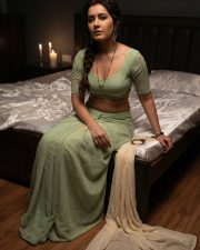 Erotic Raashi Khanna in an Olive Green Short Sleeved Blouse with a High Waisted Skirt Photos 06